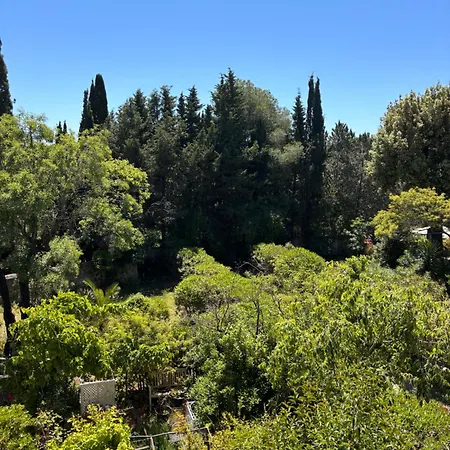 Beau 300 M De La Avec Parking Apartman *